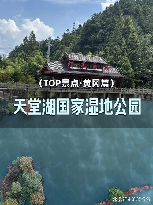 南漳昌集鸳鸯湖冬季木栈道观鸟台