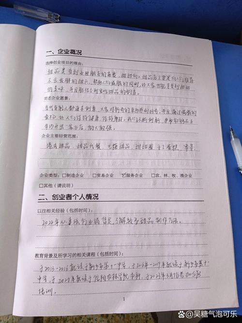 硬科技创业者错误撰写的商业计划书样例