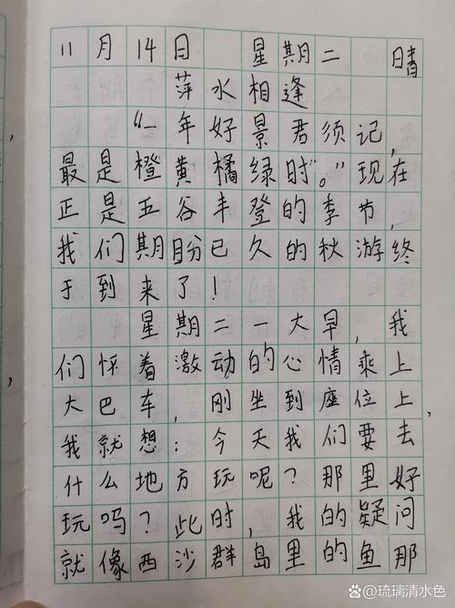 三年级小学生手写作文流水账原稿