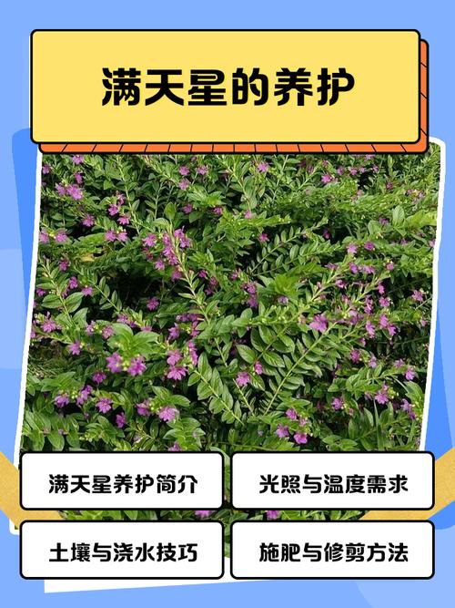 ✨ 使用与保养篇
