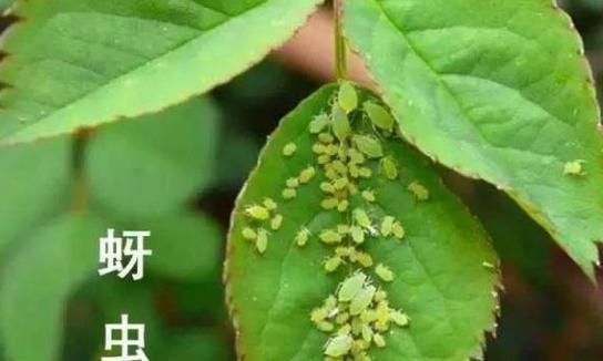 花两分钟自检,能省不少事