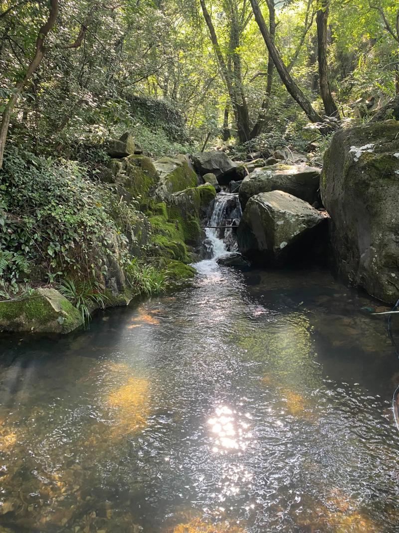 野外山涧岩石缝隙流出的泉水饮水点