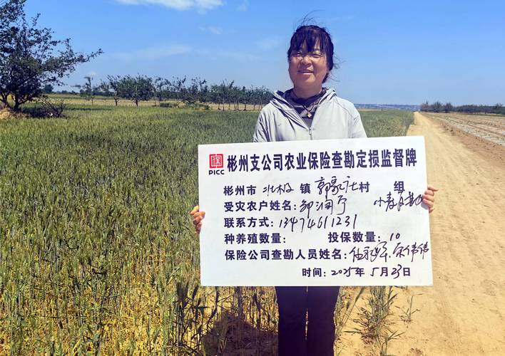 行政村种植险投保信息公示栏实拍