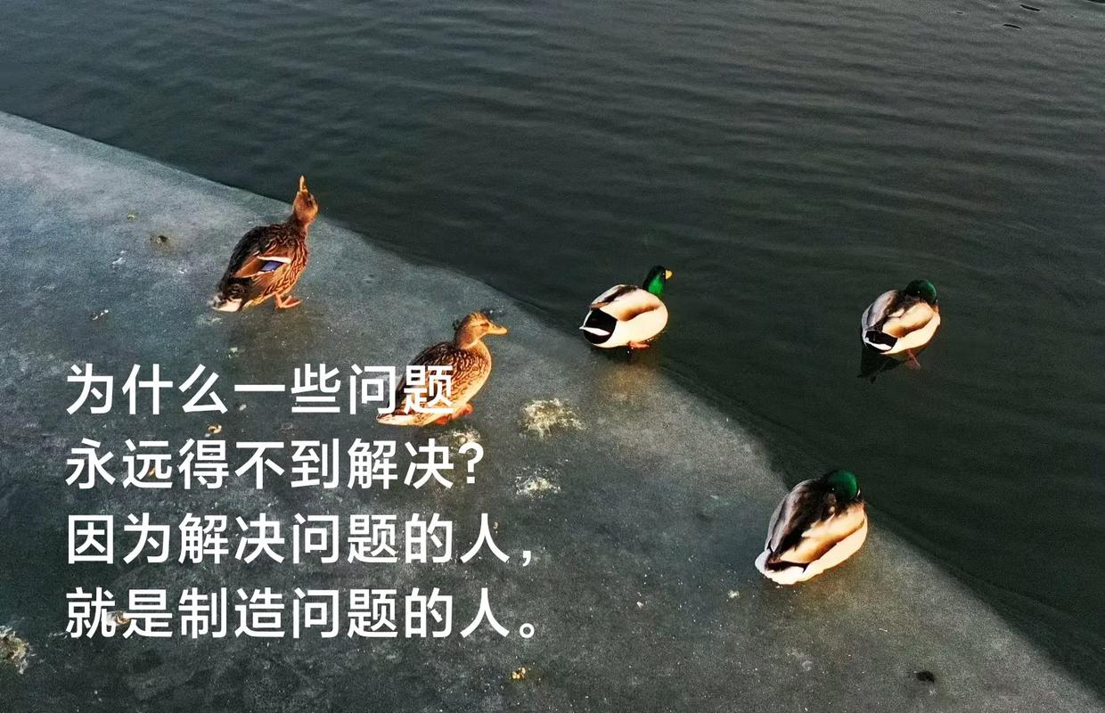 坑四:对「差异化」有所误解,为了不同而不同