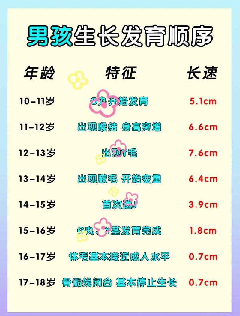 青春期男孩性发育年龄参考对照表