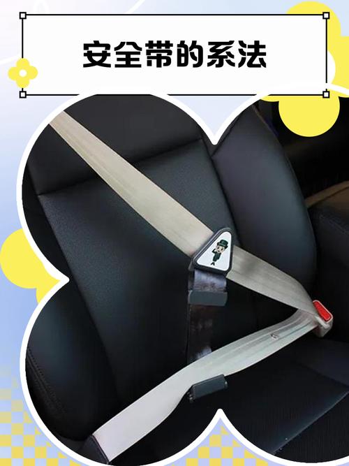 校车内部安全带设计示意图