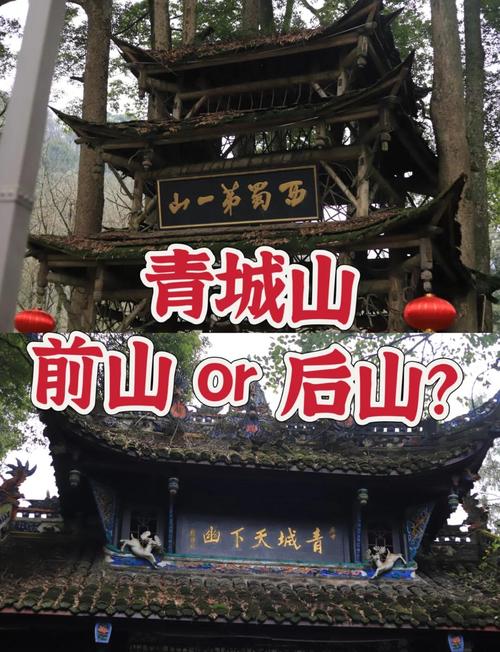 青城山别硬爬前山,后山的凉意在8月能把人爽到