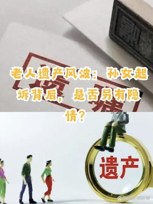 碰到不要脸抢遗产的，你该怎么干