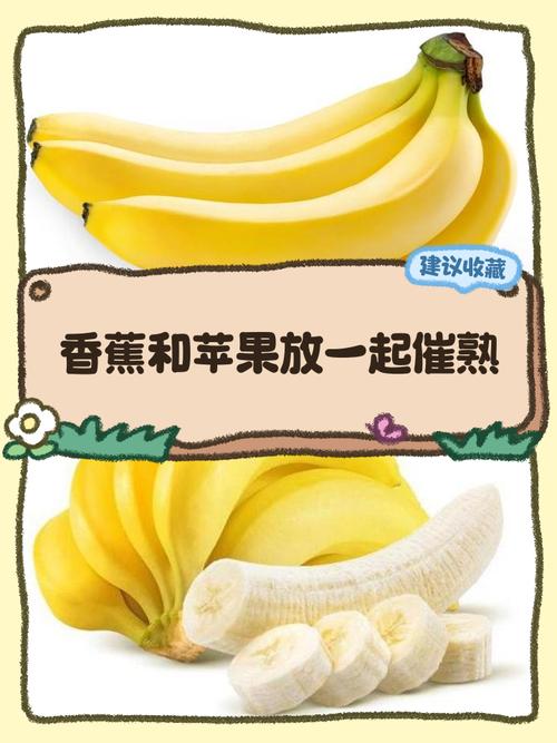 三、水果的“隔离”艺术——苹果、香蕉是催熟剂