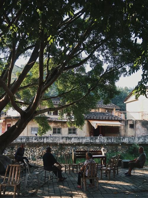 湖北南漳三里岗村古栎树树下乘凉场景