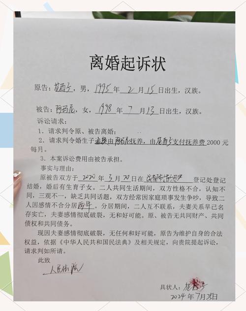 民间错误填写离婚起诉状实拍图