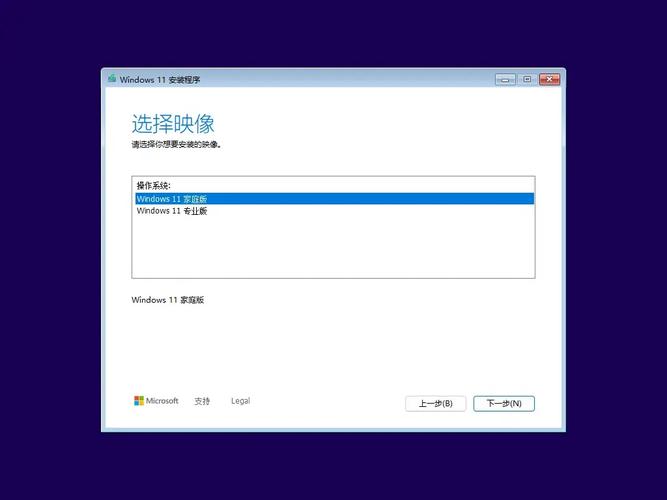 Win11第三方主题安装向导附带插件勾选界面