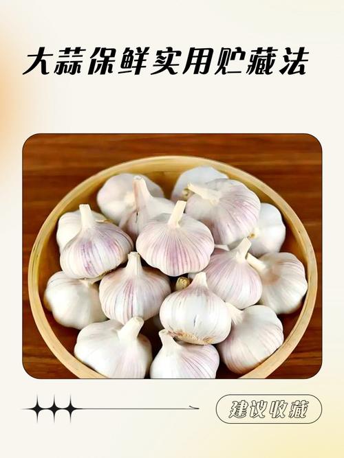 玻璃罐密封杂粮 大蒜防虫 储存方法