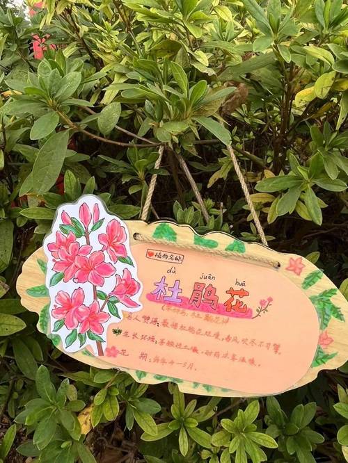 小学生为校园植物制作挂牌现场