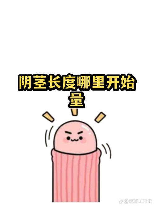 你可能从根上就错了