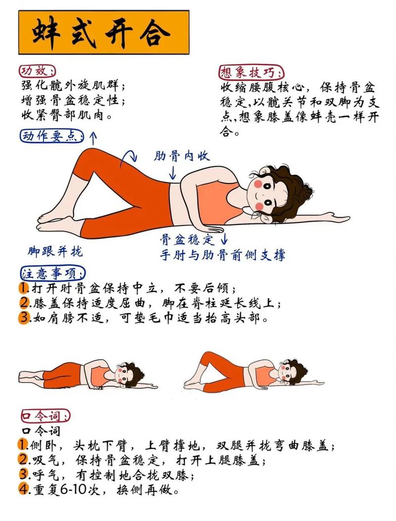 运动前臀部激活蚌式开合动作