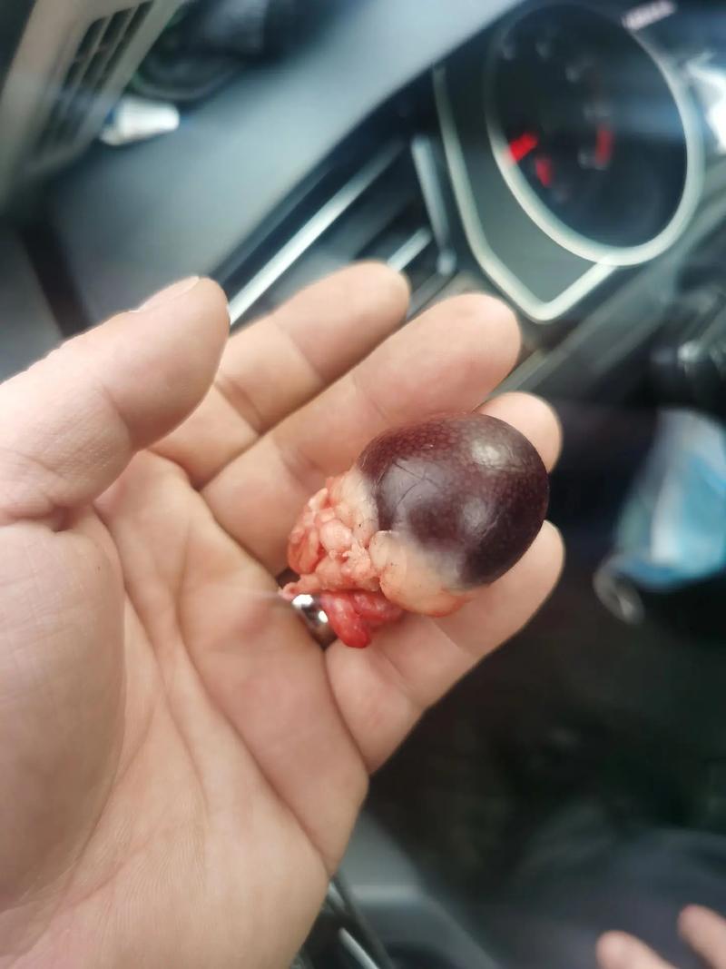 这东西到底是什么?