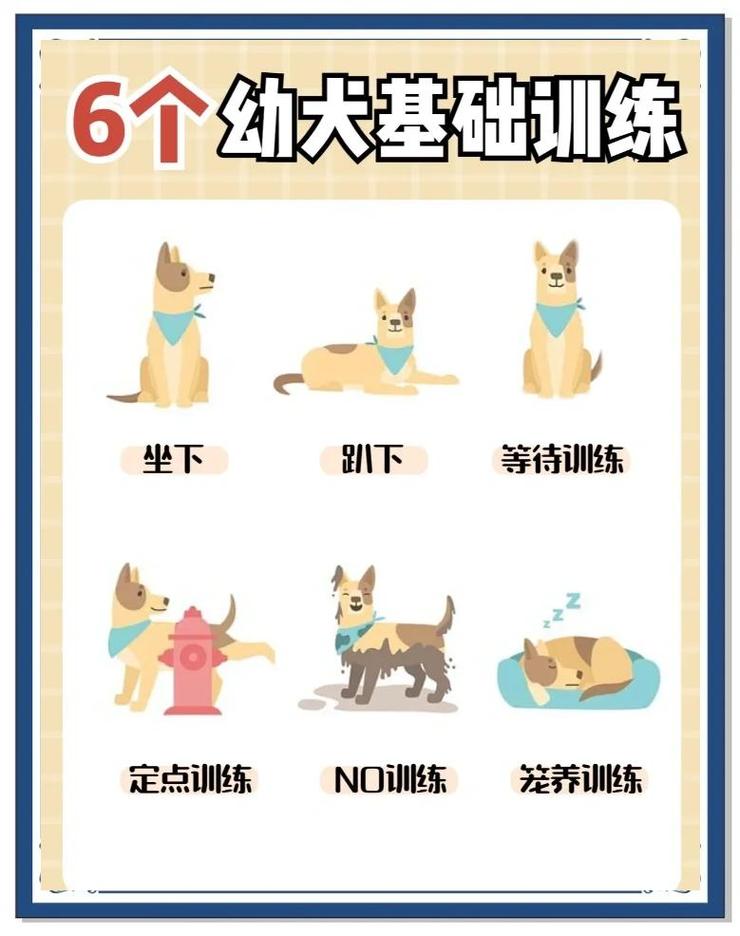 狗狗训练的核心，从来都不是纠正错误