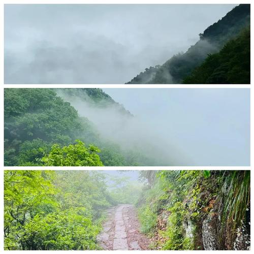 走古道的人,最后都沉默了吗-因为所以