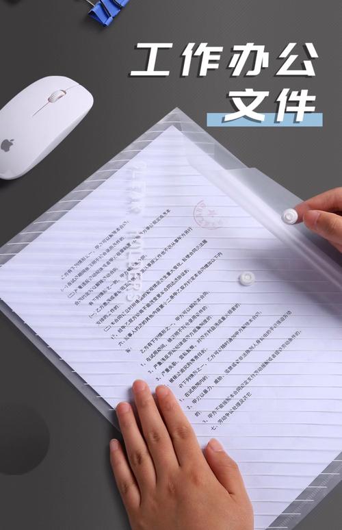 小学生自己整理的个性化学习档案袋文件夹