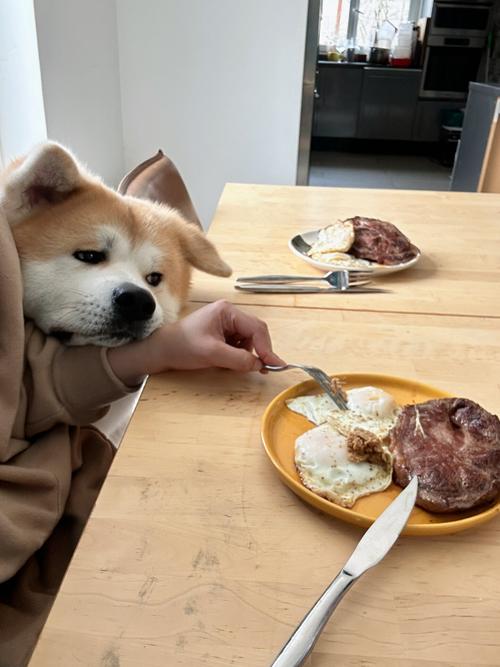 狗狗进食时放松与紧张表情对比图