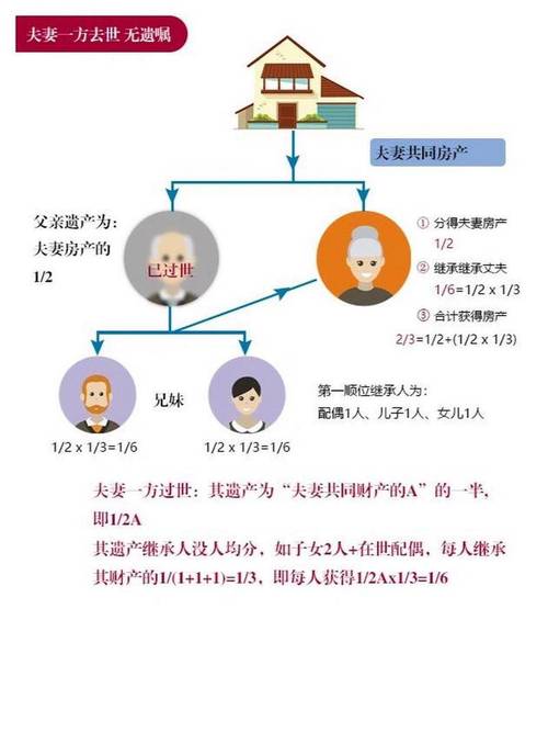 独生子女继承份额分割示意图