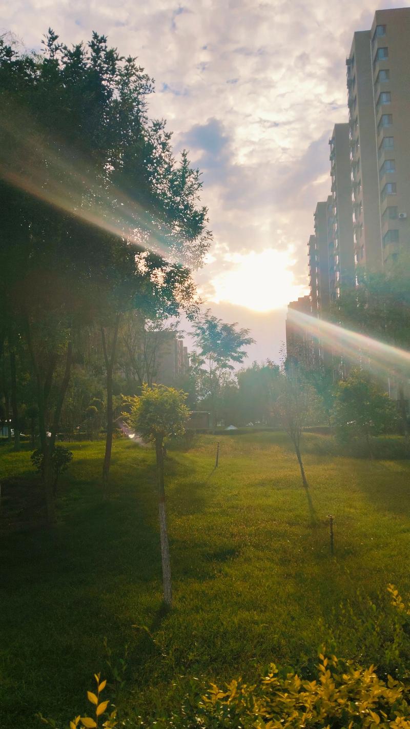 今天的布，晒今天的太阳