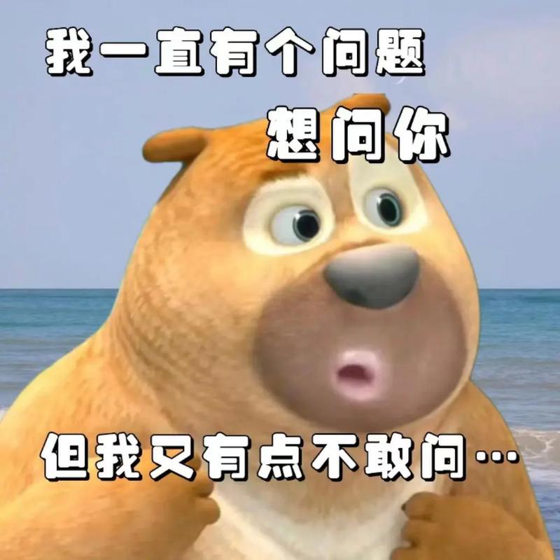 QA：你肯定想问的