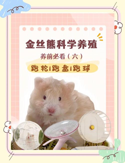 两种品种的仓鼠在不同材质跑轮上跑步的对比图