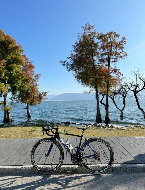 大理洱海环海骑行道沿途风景