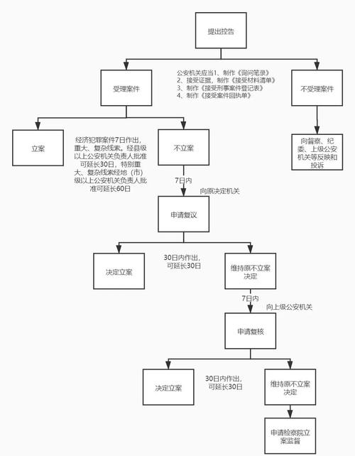 刑事公诉指控争议点标注图