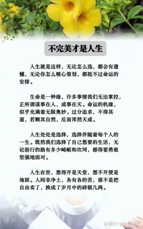 不完美的才是活的