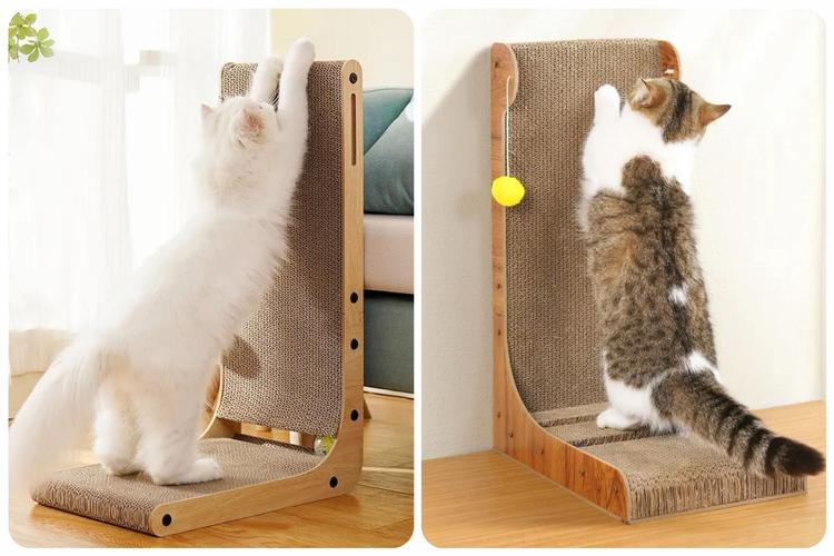 选对猫抓板，只要做好这几件事