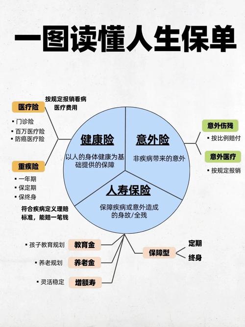 人身保险标准正式保单模板结构示意图