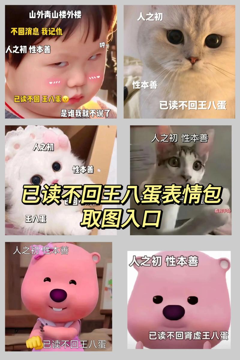 没经验？投了没回音？看这里