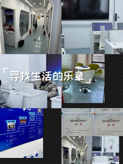 编程那么热,真的是刚需吗?