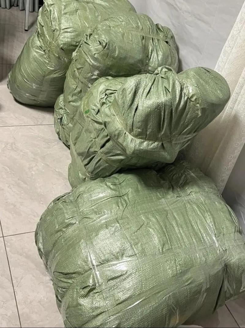 别带行李箱,带一只空麻袋