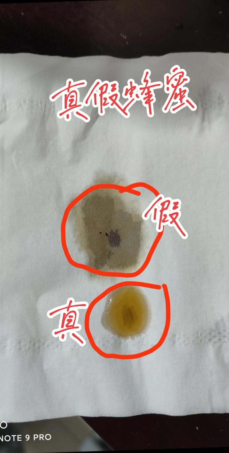 真蜂蜜滴在纸巾上不渗透对比实验