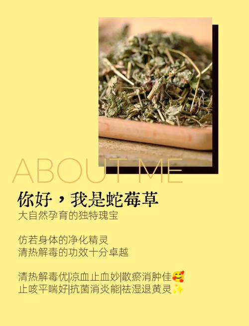 🌿 环保与入住，别拿健康赌