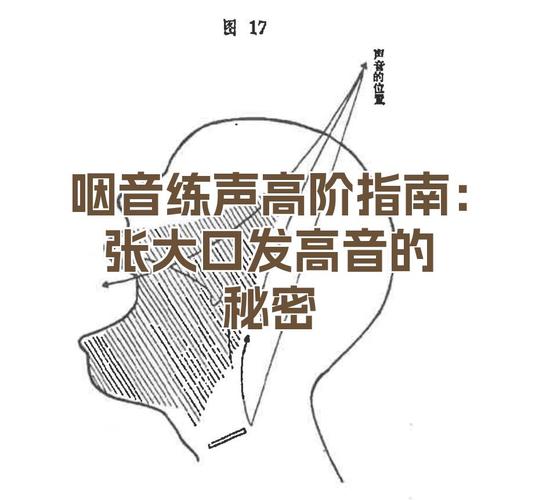 歌手练习高音时喉部放松状态示意图