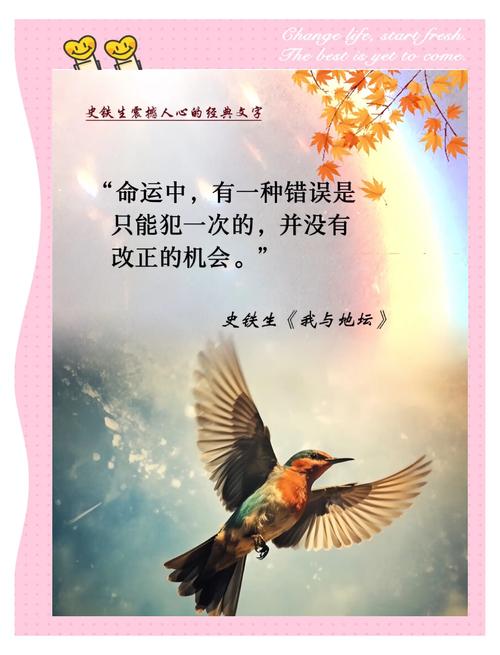 启示教训从来都是给后来者的路灯