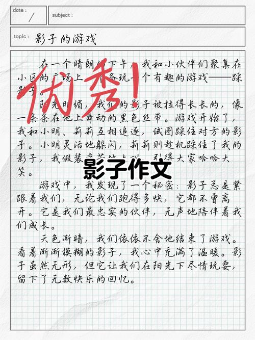 写在最后：阳光下的阴影