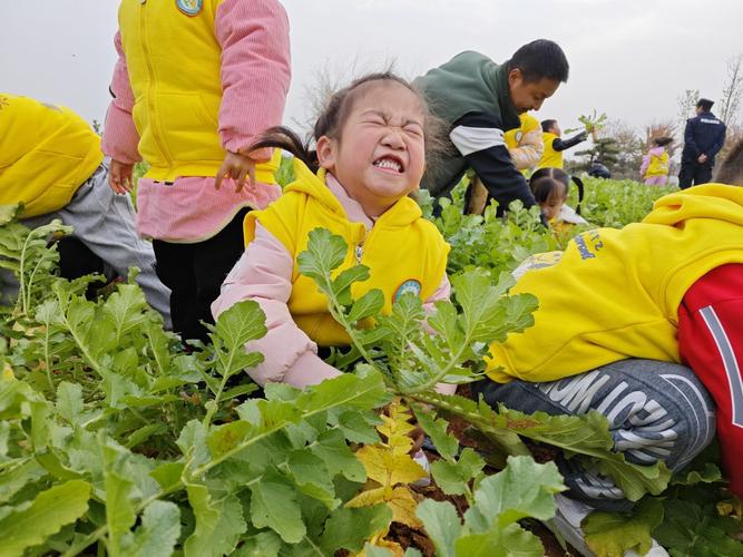 小学生校园农场拔萝卜劳动场景