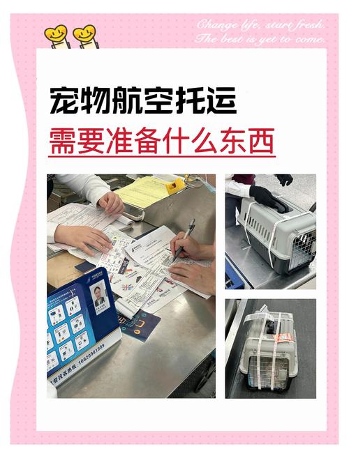 托运要做的准备，没你想的那么复杂