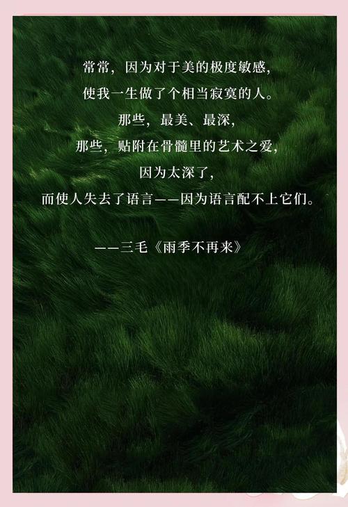 三、别急着拔,给野花留点“乱”出来的机会