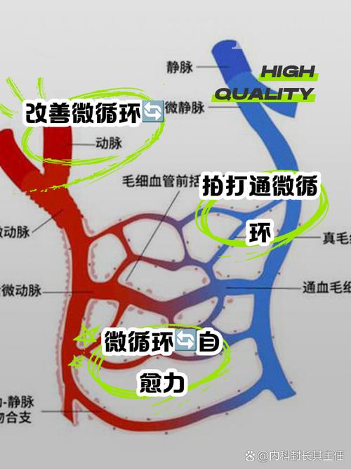 最新实践：片区内的“微循环”与数据大脑