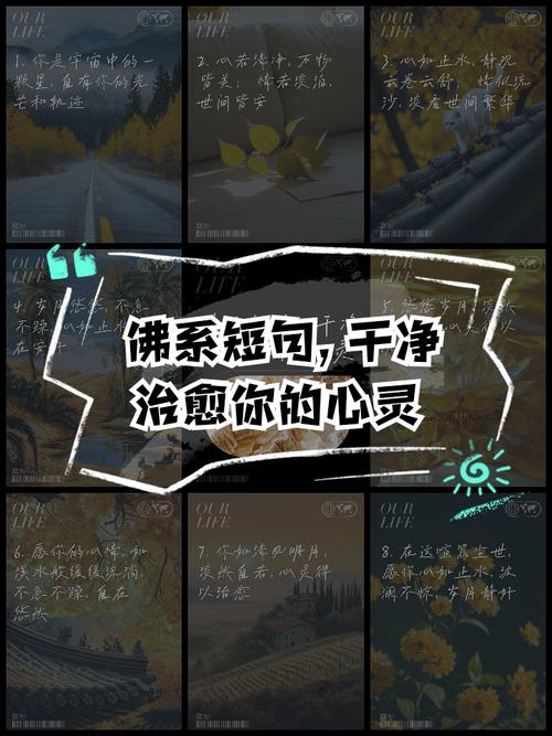 💡 我现在的佛系习惯法