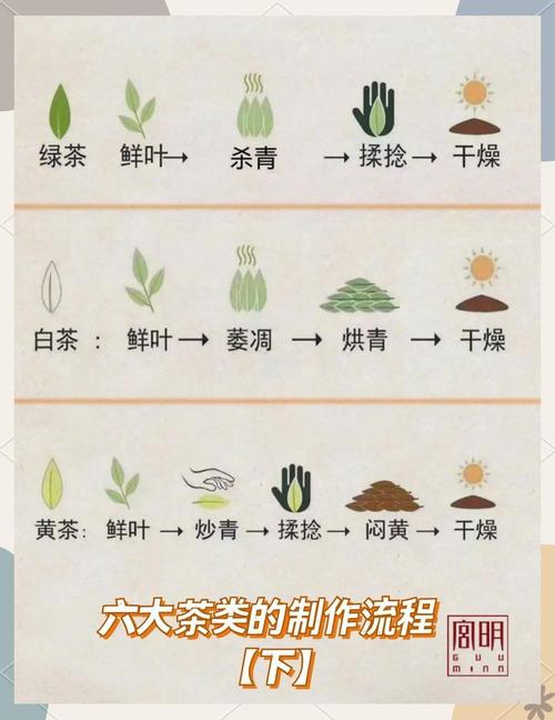 茶馆内茶艺师展示乌龙茶冲泡流程的连贯动作