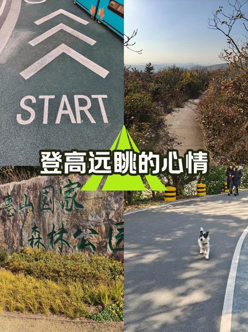 Day 3：周日别去人民公园，去山里偷个懒