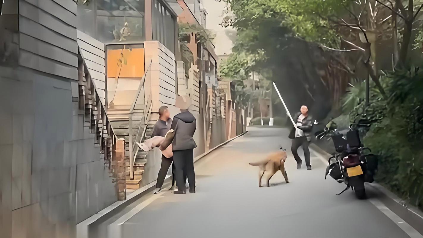 侵权责任过错推定原则适用：从两条狗说起，聊聊举证责任倒置的实用门道-普律网
